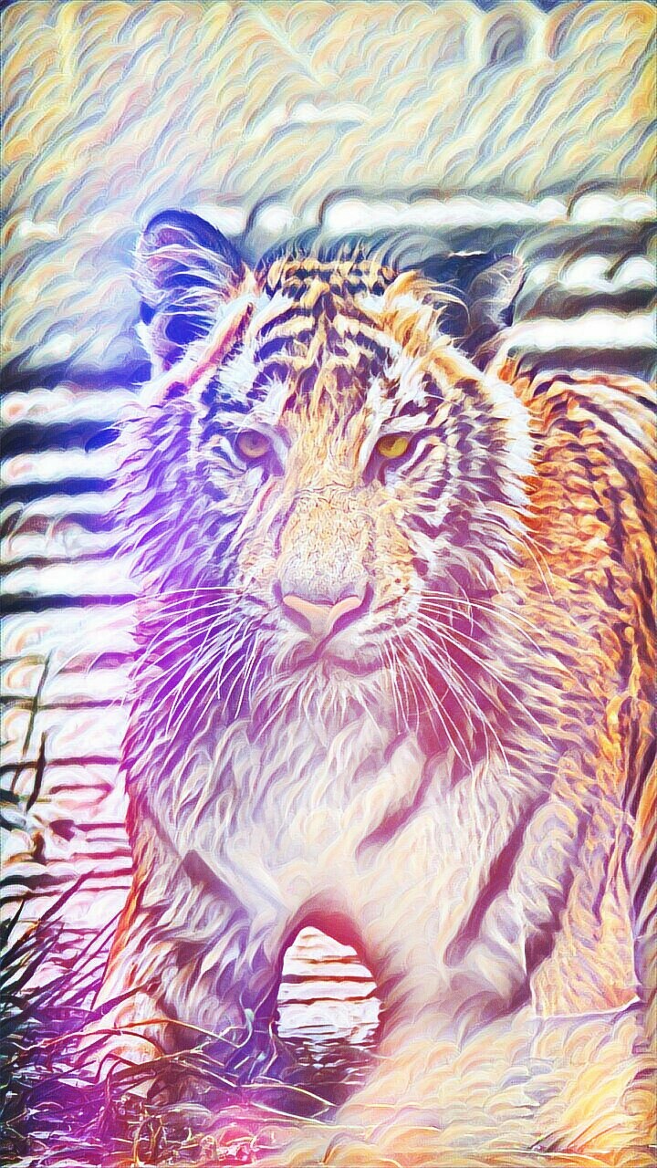 River in TIGER