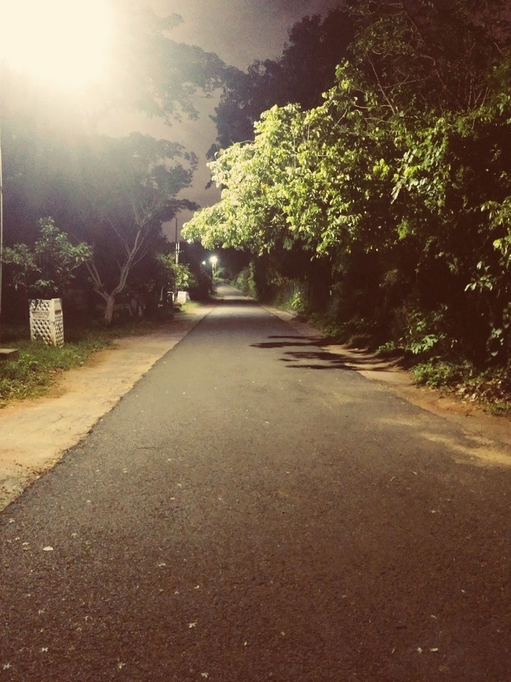 alone here