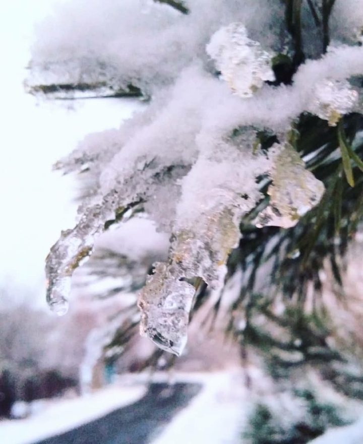 snow