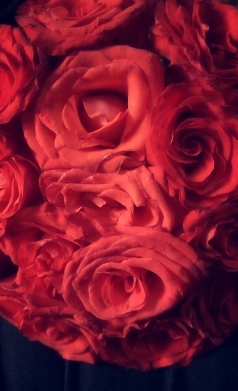 #fresh