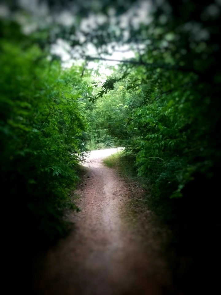 Walking path
