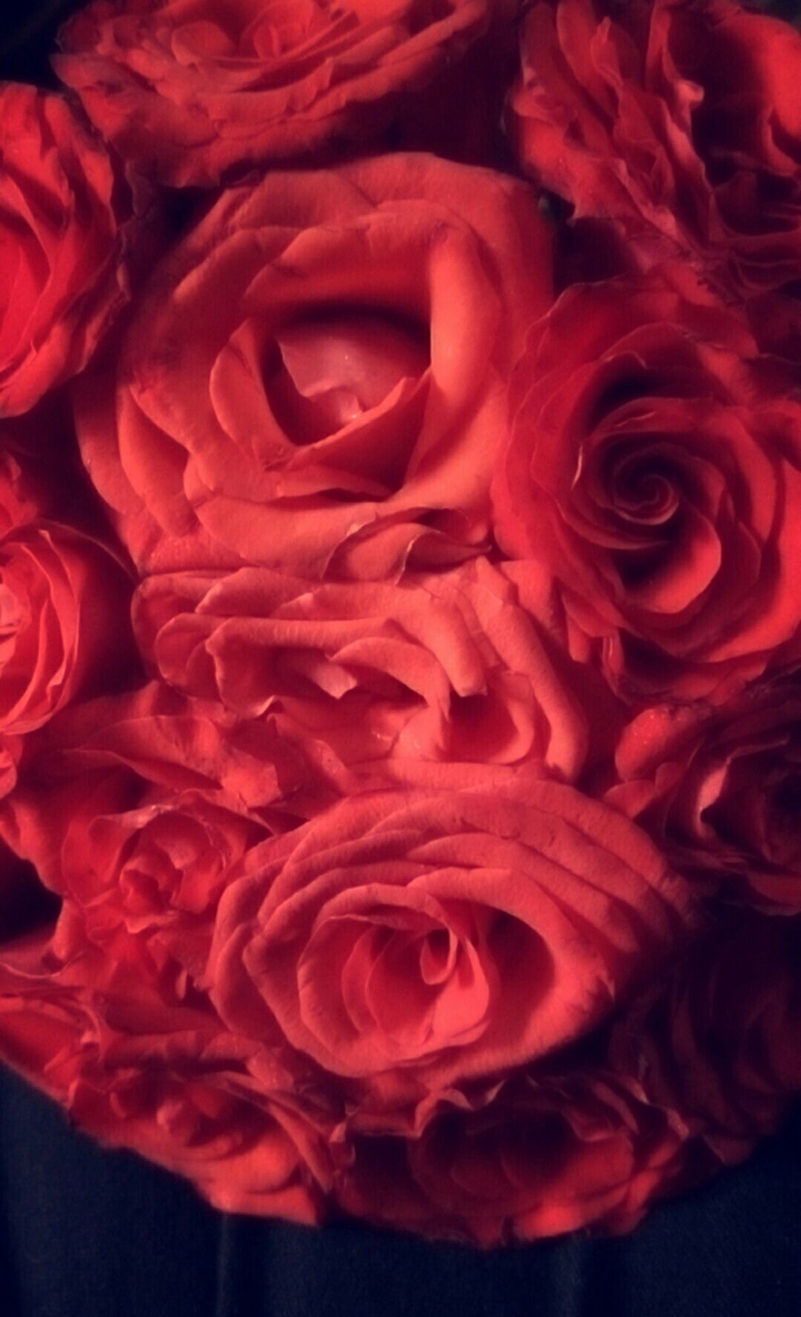 #fresh