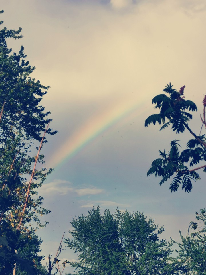 arc en ciel nature