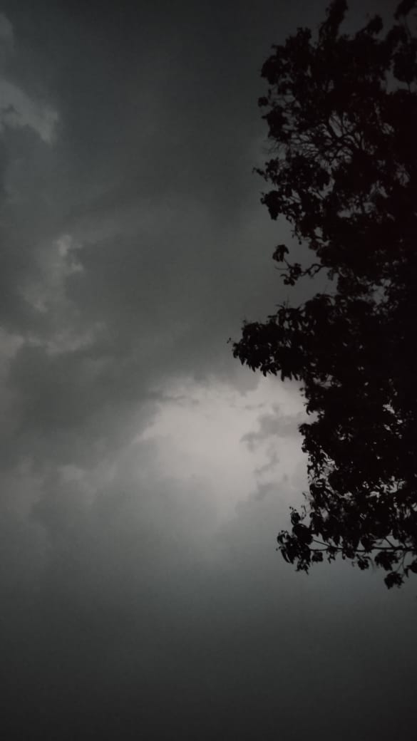 Black Sky