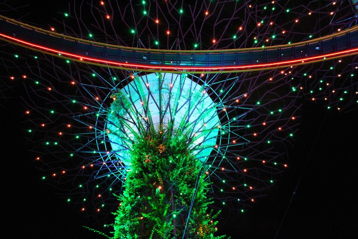 Garden By the Bay Singapore