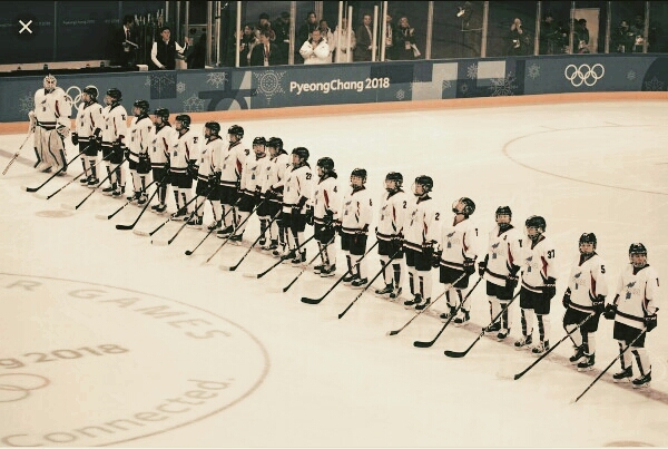 2018 hokey ...