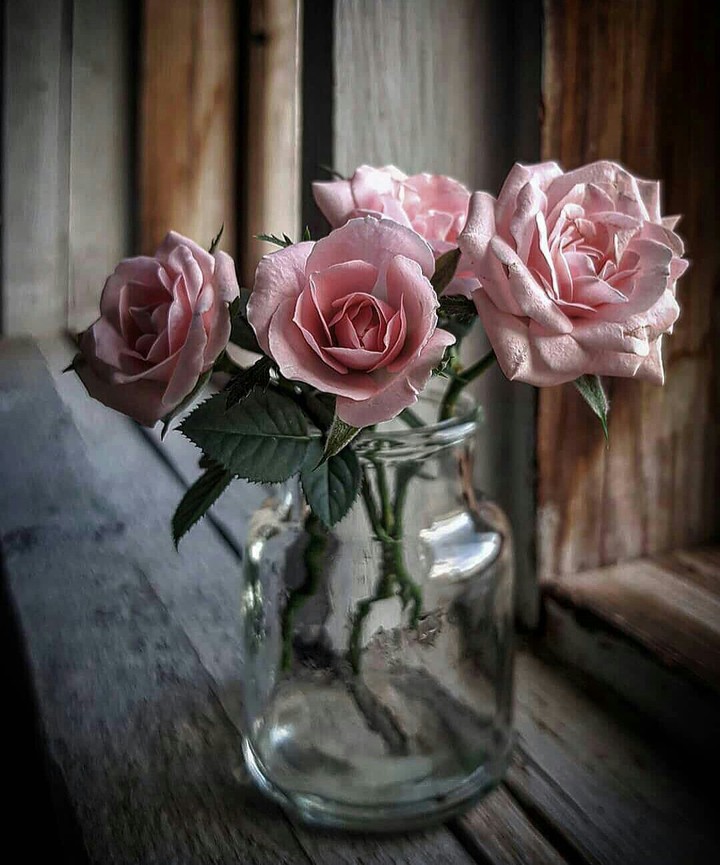 Roses