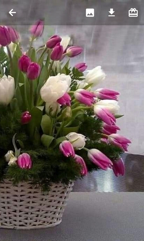 les roses c est l amour