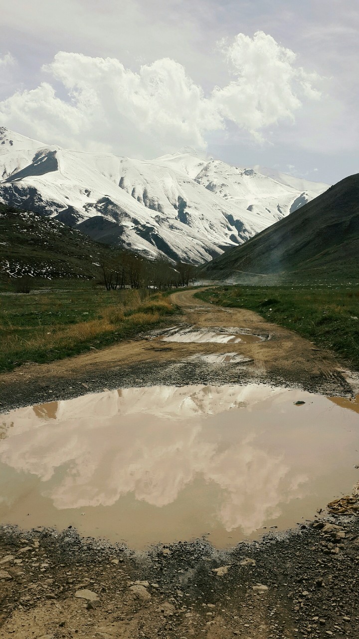 nature