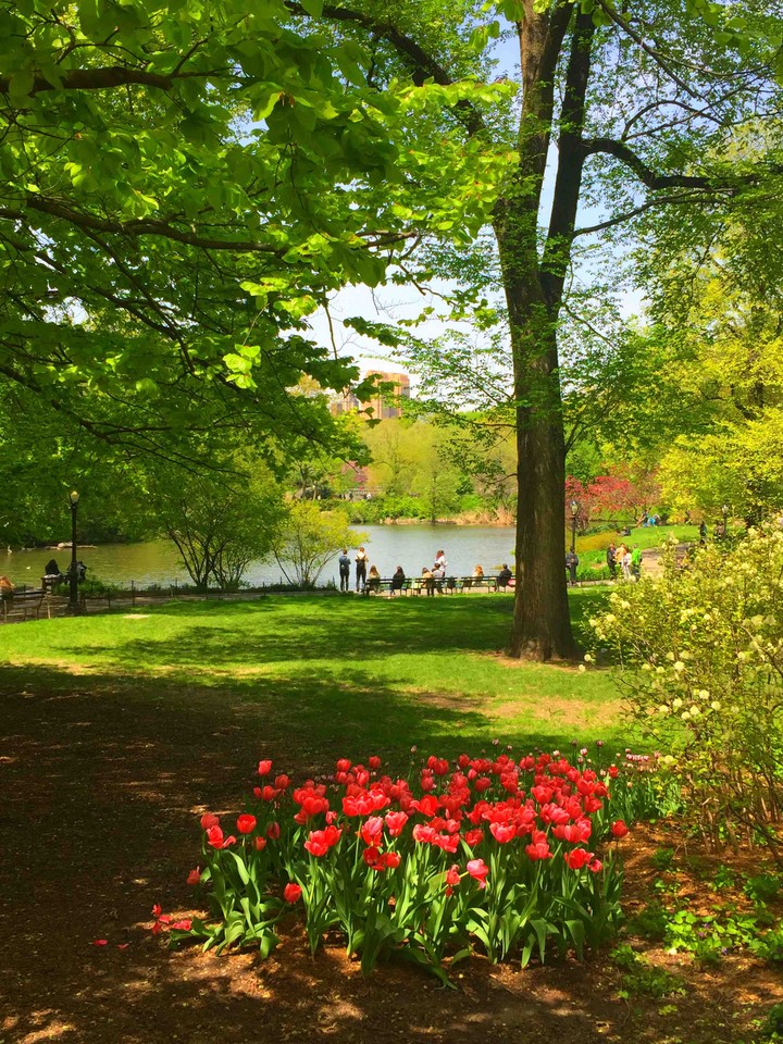 NYC Spring