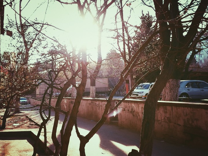Sunny day