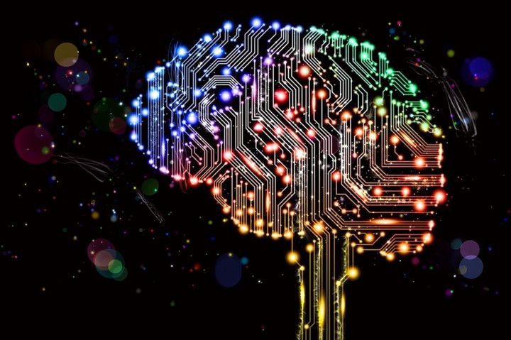 brain