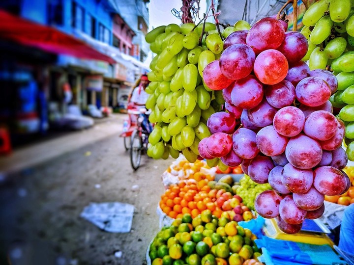 fruit