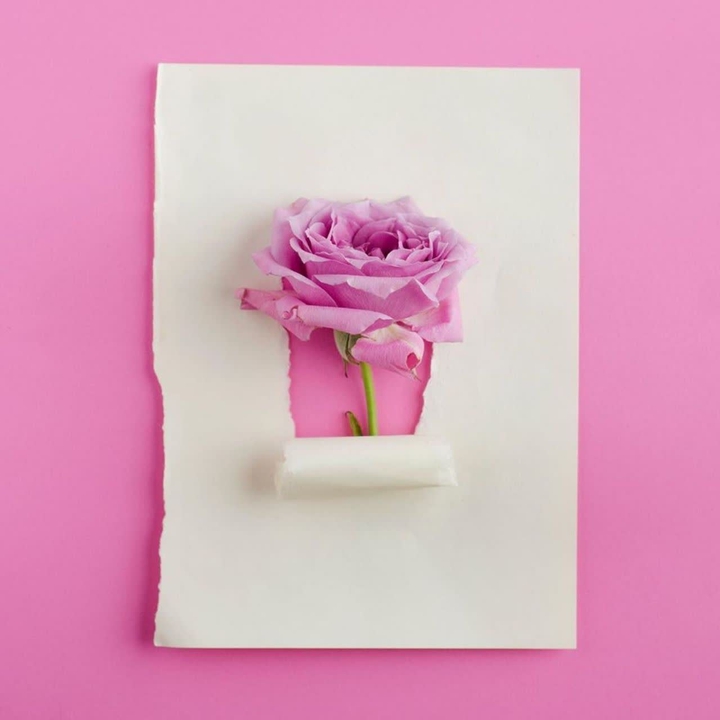 rose