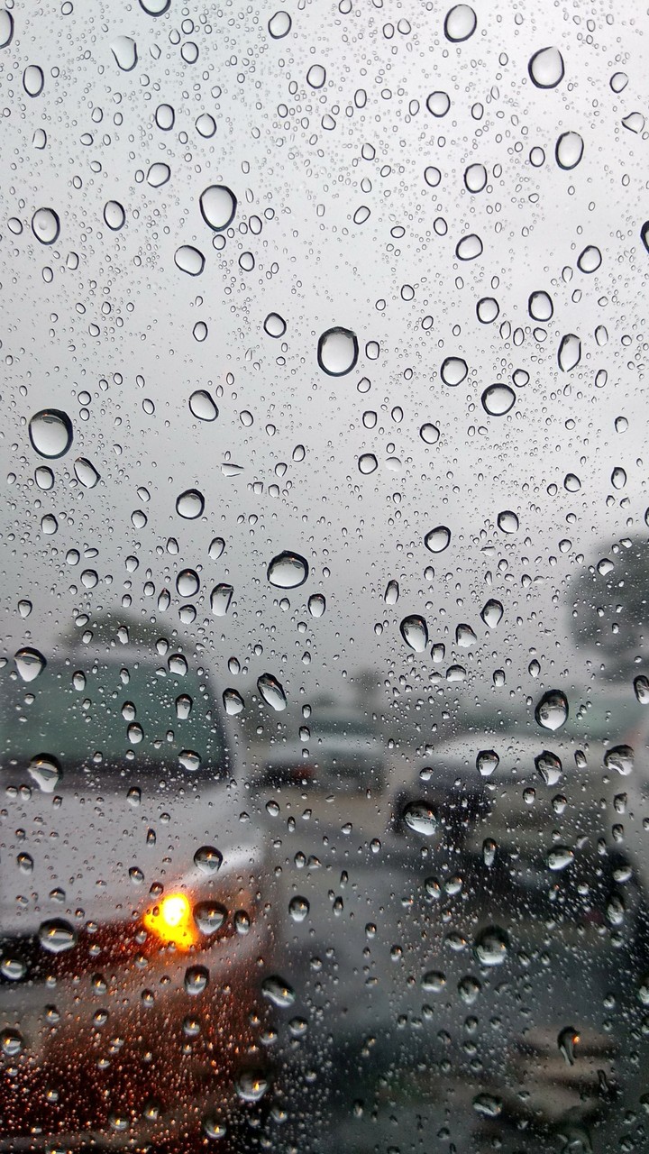 Rain Drop