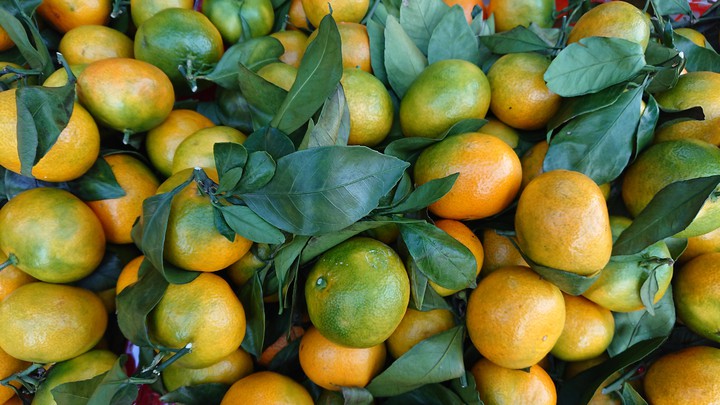 Sweet fruits