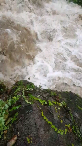 시냇물