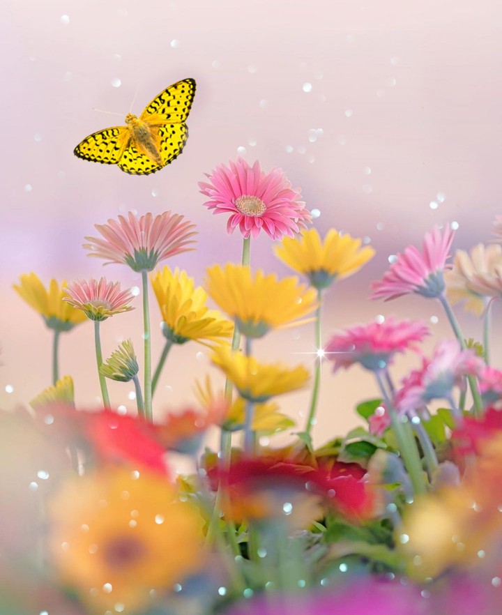 in the meadow...