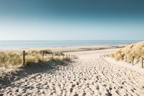 Sandy dunes on the coast of north sea picture