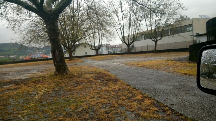 Yellow Afternoon
