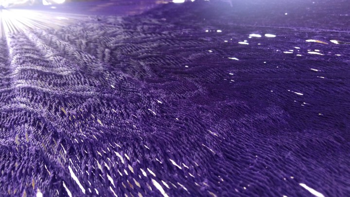 purpura