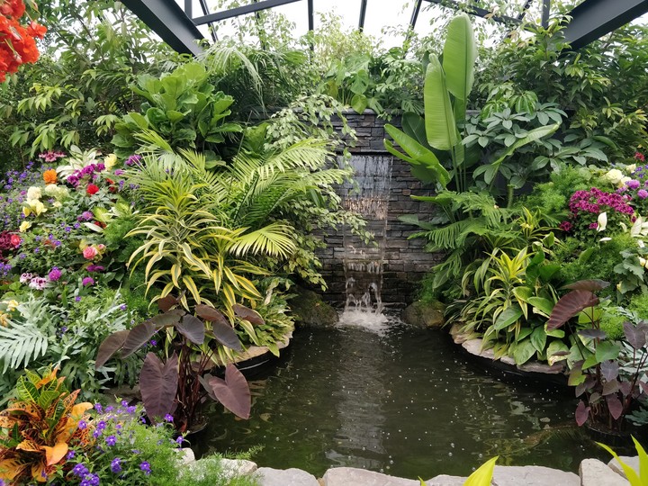 nature