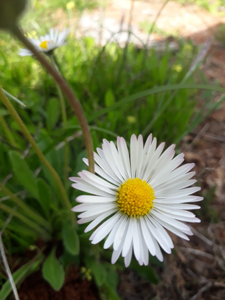 nature