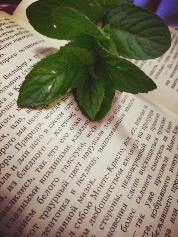 reading