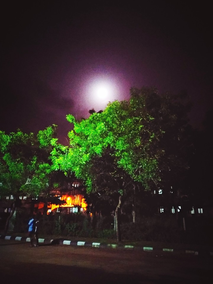 Silent night