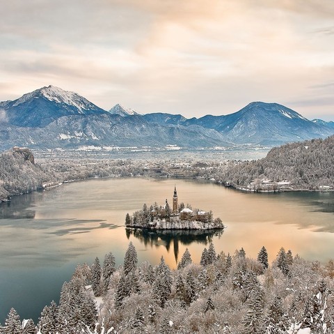 Bled