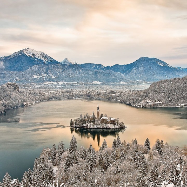 Bled