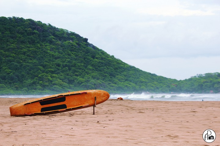 Surf well