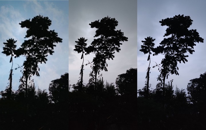 evening