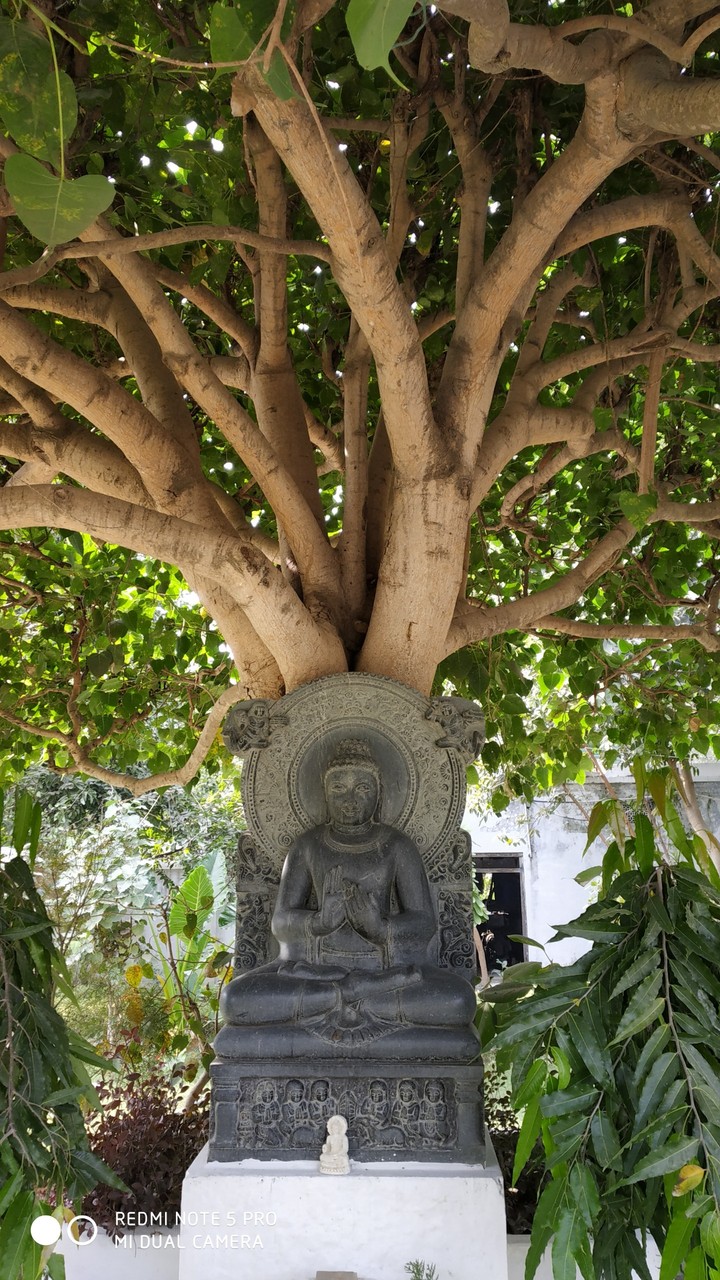 in Chinese temple
