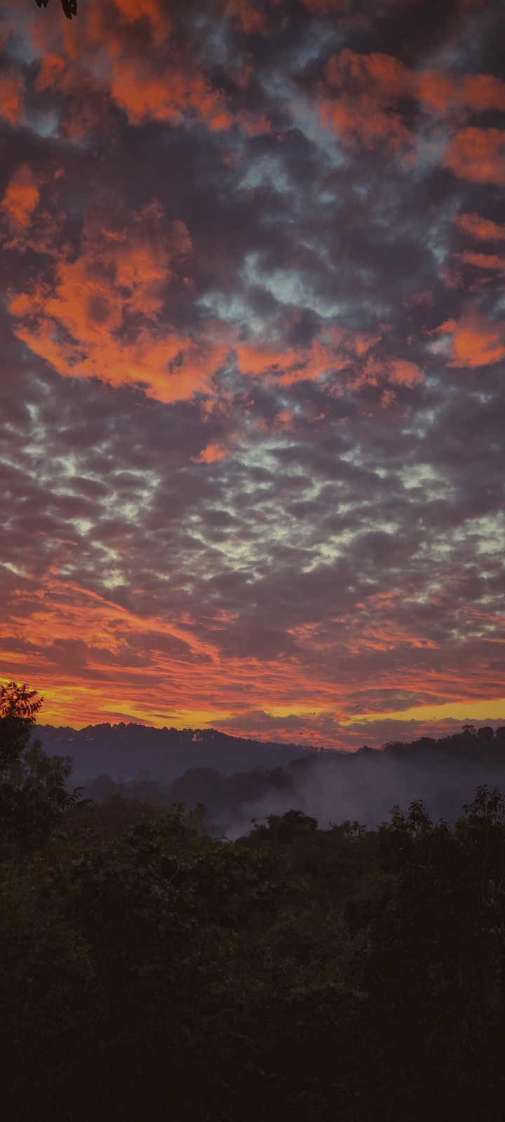 Colorful Sky
