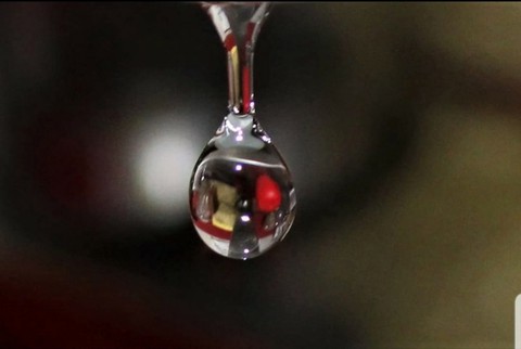 ταπετσαρίες Fluid, ornament