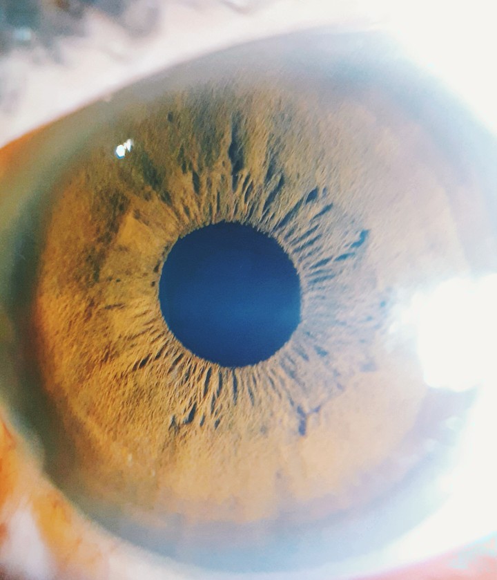 olhos
