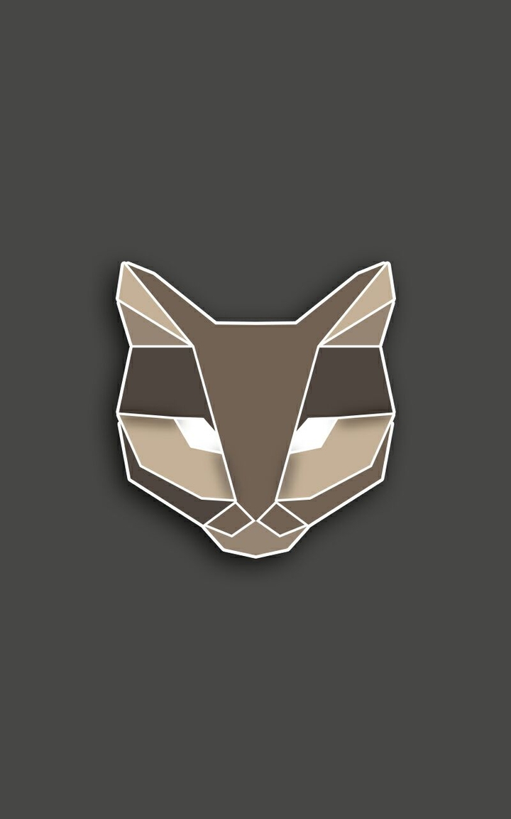 Origami Cat