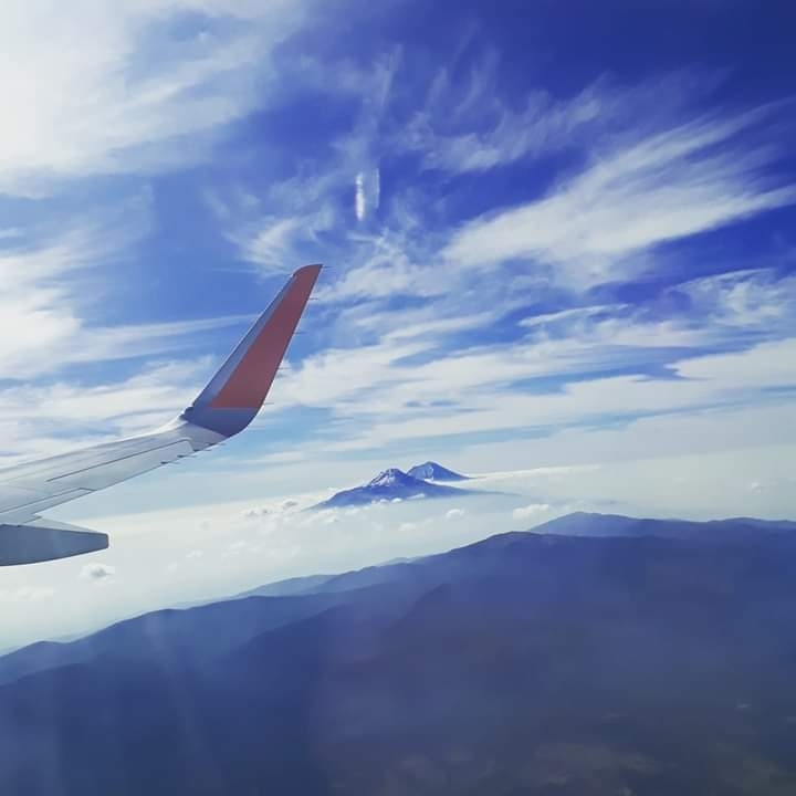 volar