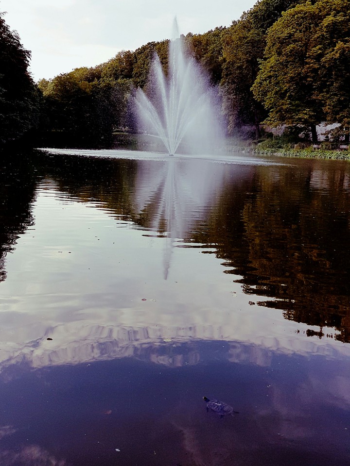 Fountain