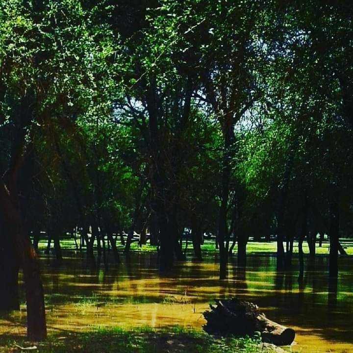 كردفان _ السودان