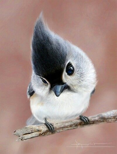 ♥️Bird