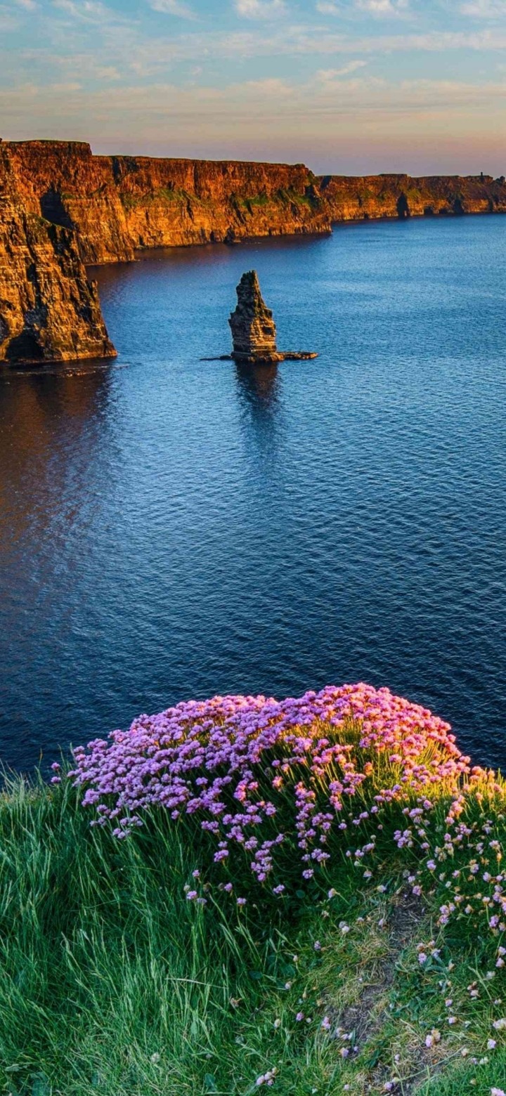 nature