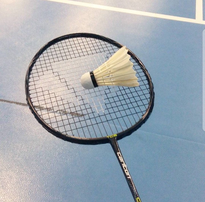 l  Love  badminton