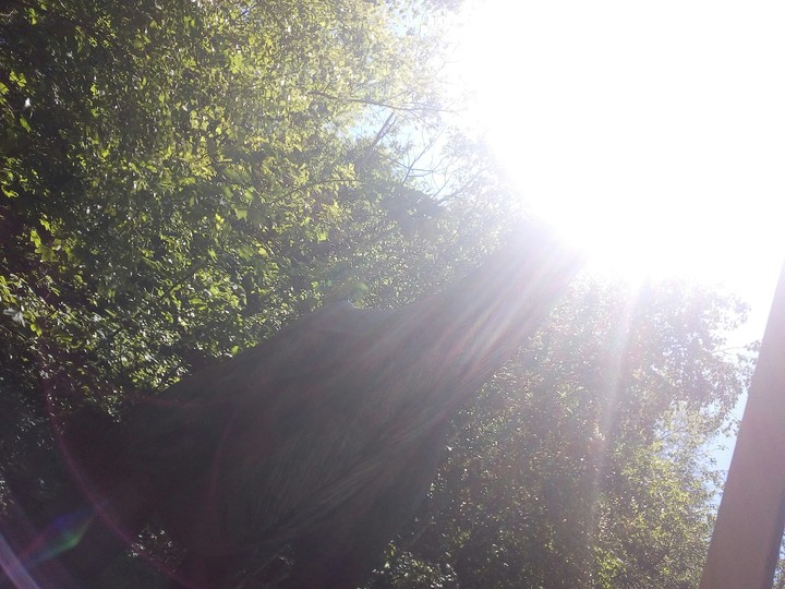 Sun