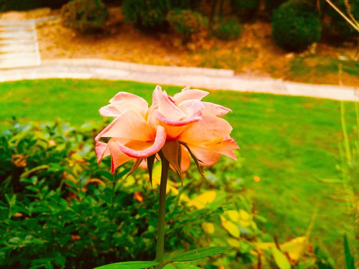 entering in autumn ?????