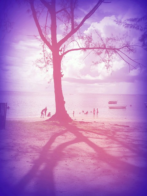 Afternoon beach plan