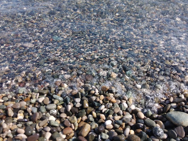 Wave