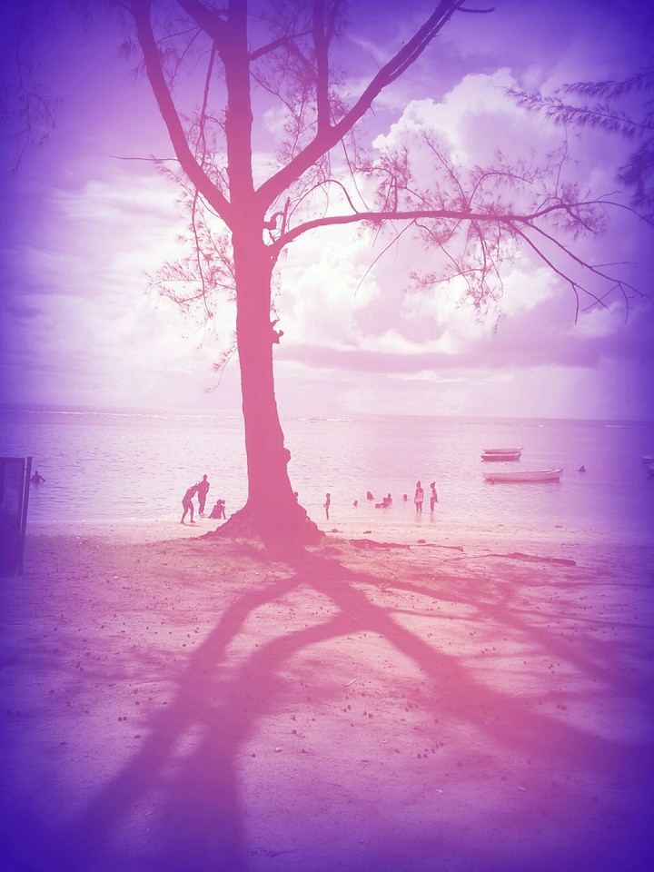 Afternoon beach plan