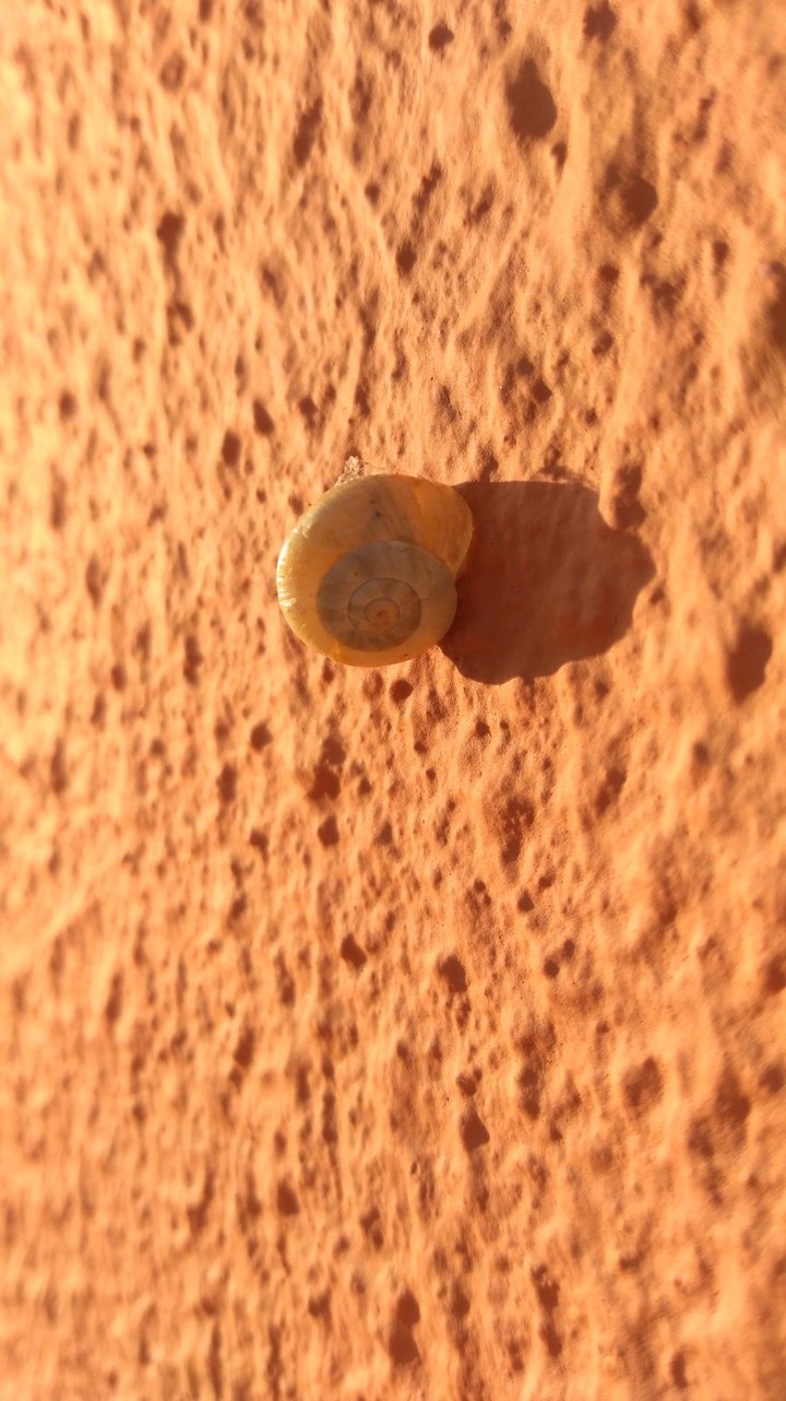 Natureza